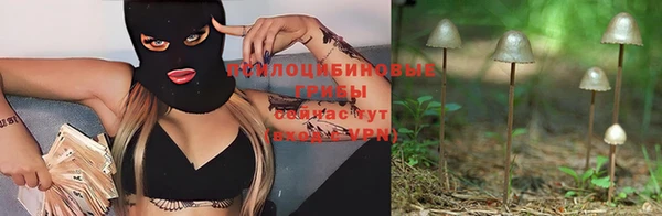 экстази Богородицк