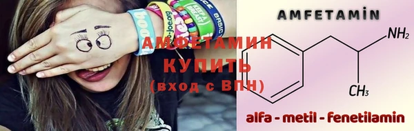 spice Богданович