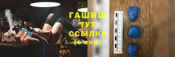 spice Богданович