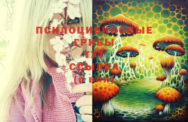 spice Богданович