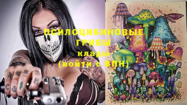 экстази Богородицк
