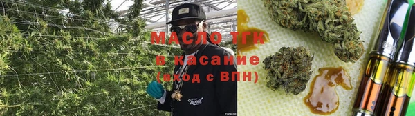 spice Богданович