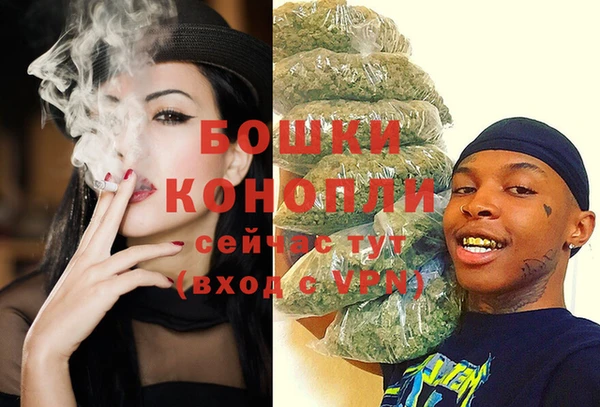 spice Богданович